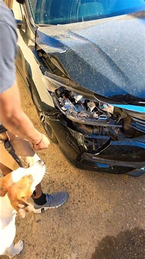 buffable today's fun#automobile #mechanic #autorepair