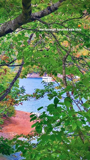 Video says it all 🧡 | Jay Osama