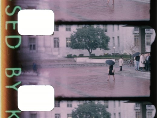 Free Speech Movement