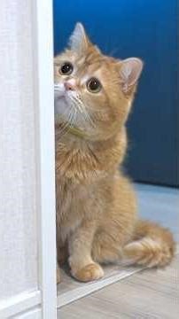 The Choice That Sweetened Us 🍪