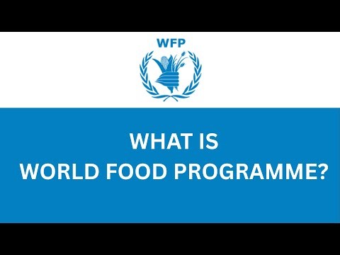 WHAT IS WFP?