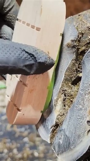 Hoof Grip Pro: here's what not to do. #hoofgp #hooftriming #hooftrimmer #CattleFarming #Farming | The Hoof GP