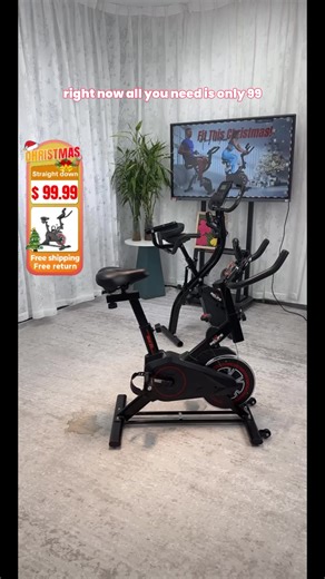 RELIFE REBUILD YOUR LIFE Mini Exercise Bike Compact Stationary Bike Silent Indoor Cycling for Small Space w/Adjustable Seat, Smooth Pedal & Belt Drive