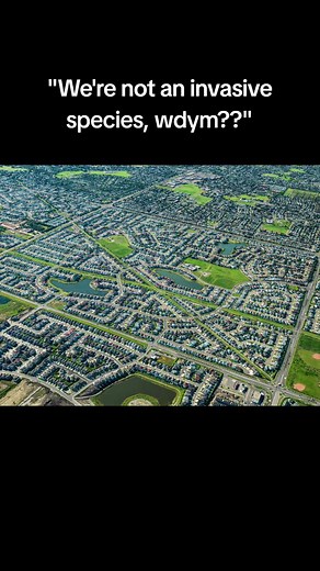 Aerial views of residential areas is absolutely sickening to me.. there's no reason these houses should nearly be ON TOP of eachother... #likeyours #AerialView #InvasiveSpecies #Creepy #fyp