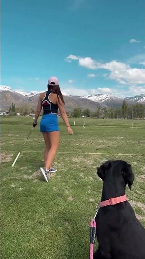 Hilarious Dog Gives High Fives