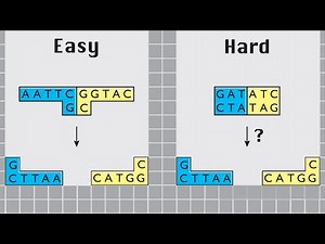 Cloning with Restriction Enzymes (5 Levels) - Traditional Molecular Cloning