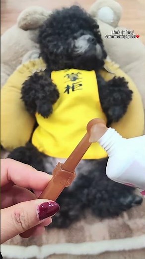 Brighten Your Pet's Smile with Our Soft Silicone Toothbrush! 🐶🐱✨