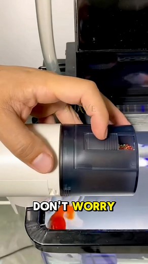 109K views · 151 reactions | Automatic Fish Feeder 퐃퐢퐭퐨 퐦퐚퐛퐢퐛퐢퐥퐢  https://ecosale.info/WX2AQIhu 퐃퐢퐭퐨 퐦퐚퐛퐢퐛퐢퐥퐢  https://ecosale.info/WX2AQIhu #Lazada #Shopee #reelsviral | My Personal Recos | Facebook