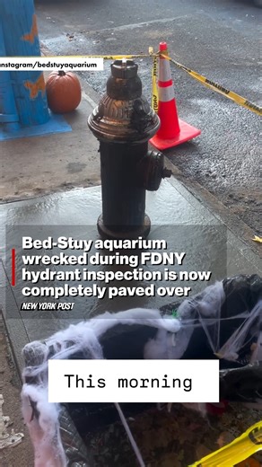 The bizarre but beloved Bedford-Stuyvesant street aquarium born in the summer was wrecked during an FDNY hydrant inspection — but locals are already picking up the pieces. | New York Post