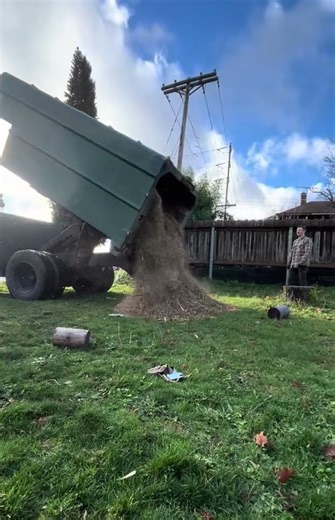 Using chip drop to get rid of a whole tree. #tree #nature #cedar #chipdrop #dumptruck #chiptruck