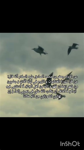 #اللهم_صل_على_محمد_وال_محمد #اللهم_عجل_لوليك_الفرج #ياعلي #يافاطمه #الامام_الحسين #نور_الحُسين