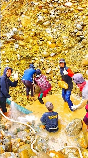 HOW FINDING GOLD IN THE ROCKS AND MINERALS #minerals #mininggold #miners #goldprospecting #mines