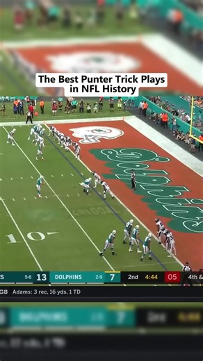 NFL’s Best Punter plays Ever #nfl #nflhighlights #nflfootball #fpyシ | football