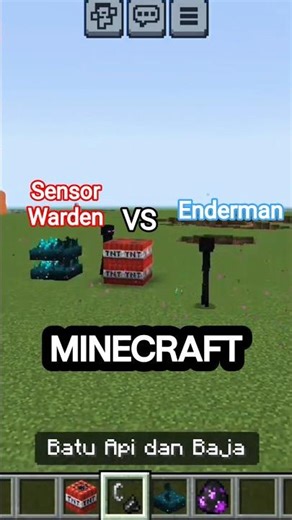 I made a warden vs enderman censorship challenge In minecraft #anresta #shorts