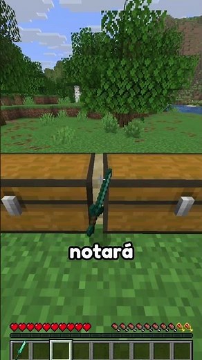 The best way to hide objects in Minecraft
