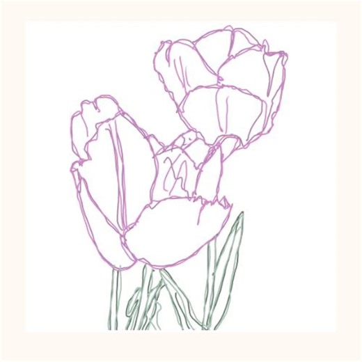 Coloured Tulip Line Art • Modern Botanical Print • Minimalist Flower Art • Digital Download - Etsy