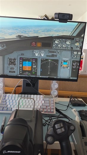 Testing my Thrustmaster Boeing tca yoke #fyp #pinchetiktokponmeenparati #unvideomasmigente #pcgaming #xplane11