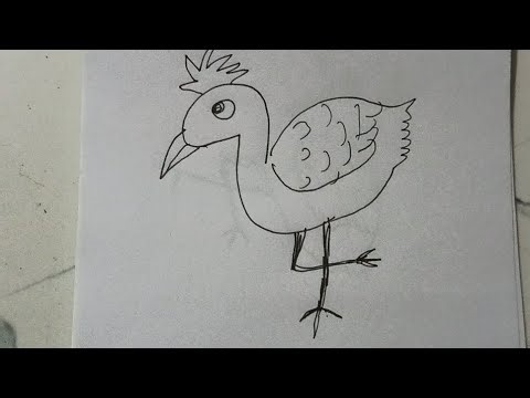 Bird drawing Hacks That Everyone should know 
