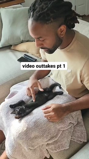 777K views · 13K reactions | Under arrest for being too cute  We have a lot of funny clips from the videos we record and thought we'd share some! | Fostering kittens | Facebook
