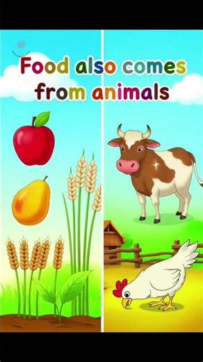 Food and Its Sources | Class 6 Science | Easy Learning Video #science #class6 #easylearning #kids