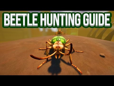 Grounded: Where to Find BOMBARDIER BEETLES (Every Location)