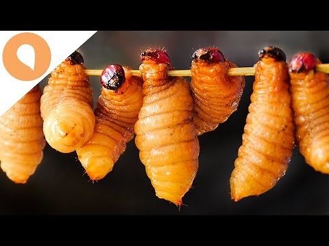 RARE JUNGLE FOOD: COCONUT WORMS - VIBRANT VIETNAM EPISODE #2