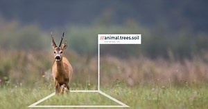 Sponsor land for rewilding | Heal 3x3