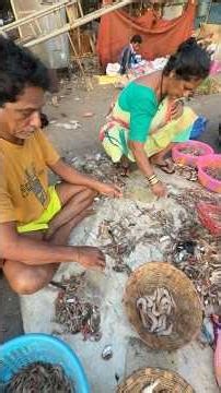 Fish Shooting Trombay Fishmarket🦐🦑🦀 #seaking007 #seafood #fish #agrikoli