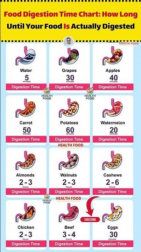 Food Digestion Time Chart: How Long Until Your Food Is Actually Digested? | From Water to Meat