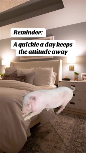 Couples' Reminder: A Quickie a Day Keeps the Attitude Away