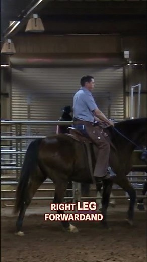 Shaping the Horse with Subtle Leg and Rein Adjustments