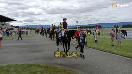 【木兰大师】2000米途程勇得亚军！