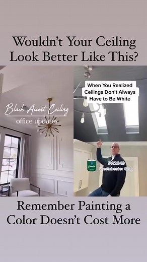 4K views · 23 reactions | Wouldn’t Your Ceiling Look Better With This? Best New Color for Ceilings Isn’t White! Check out the hottest Home Design Trends for Late 2022–23! Remember, Painting a Color Doesn’t Cost More!  #design #color #painting #aesthetics #fyp @sherwinwilliams #reels | Interior Trend Inc. | Facebook