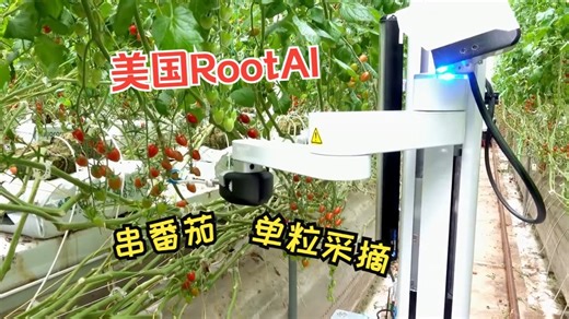 每天学习一点点 | 美国RootAI公司串番茄单果采摘机器人