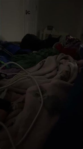 Why is my cat scratching my leg? ￼