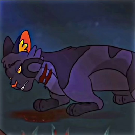 Darkstripe's Fierce Loyalty to Tigerstar in Warrior Cats
