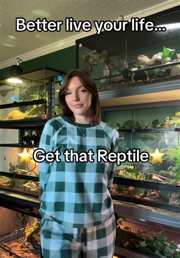 Reptile Room Tour: Meet Our Captivating Creatures