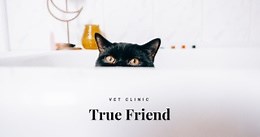 True friends - Html Code Example by Nicepage
