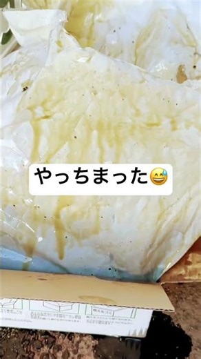 ローバーミニオイル交換失敗w