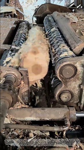 Drum-type wood debarker