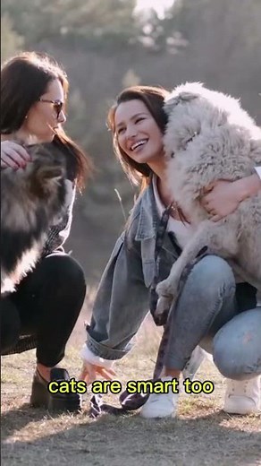 How Smart Are Dogs? Mind-Blowing Facts Every Dog Lover Must Know!