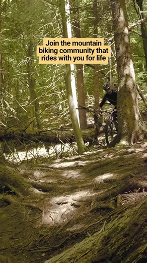 Ready to make 2026 the year you truly level up your mountain biking Its time to push beyond your comfort zone because thats where real progress happens. Imagine mastering new trails, tackling techier gear setups, and riding with confidence you didnt think possible. Join Trail Tech Collective today and get FREE lifetime membership before the price jump hits! Heres why youll love it: Expert 1-on-1 coaching to sharpen your skills Mechanical diagnostics to keep your bike dialled A global community o