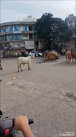 Ladybag-jamnagar on Instagram: "Location Lady Bag Shop Jamnagar"