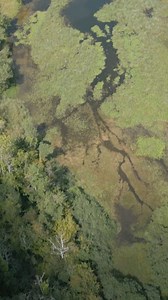 A Source-Seine, le faible niveau de la Seine, où le célèbre fleuve prend sa source, inquiète certains habitants. Début août, plus de 2/3 des nappes phréatiques étaient en dessous des normales de saison #AFP #secheresse #seine | Agence France-Presse