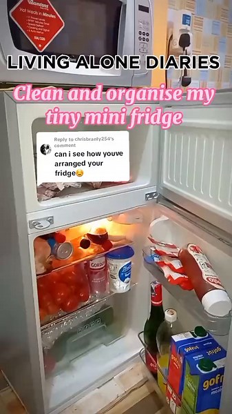 How to Organize Your Small Fridge: Tips for Functional and Efficient Arrangement