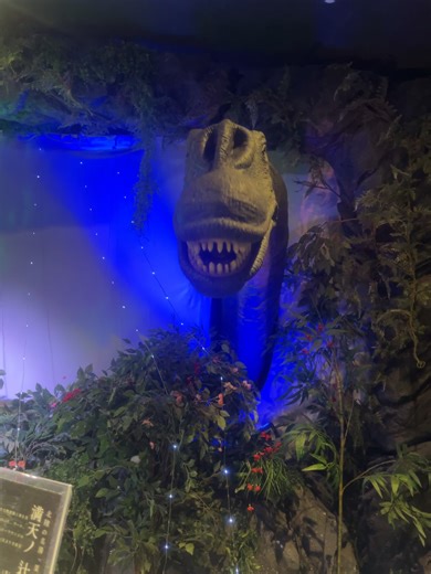 老资历说话了！！！拍摄于1.15东京羽田Henn na Hotel前台，这酒店的前台好像全都这么抽象，全是些恐龙假人机器人之类的东西）