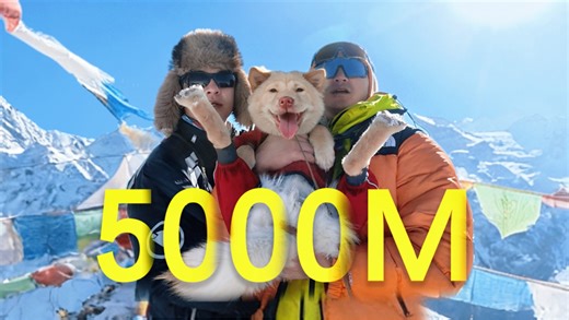 带狗冲顶5000M雪山，人瘫了！狗的举动让我泪崩…