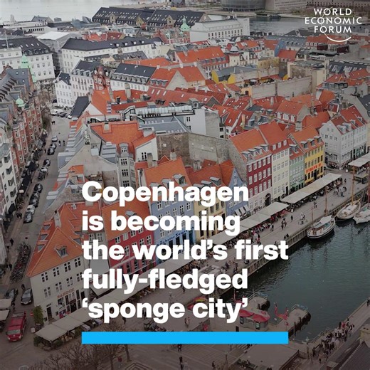 Copenhagen is under a double threat from climate change. Rising seas and heavy rainfall mean the risk of #flooding is growing across the city. But Denmark’s capital is fighting back using an approach to urban design pioneered in China: it’s becoming a sponge city. When finished, the project will enable #Copenhagen to soak up and store excess water rather than be submerged by it. Cities around the world are highly vulnerable to the impacts of climate change. The Davos Baukultur Alliance champions