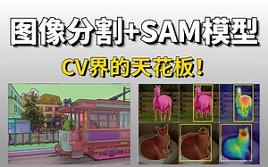 【图像分割+SAM模型】计算机博士带你从零入门！原理解析+模型实战+论文解读 半天就能学会！ 人工智能/计算机视觉/图像分割