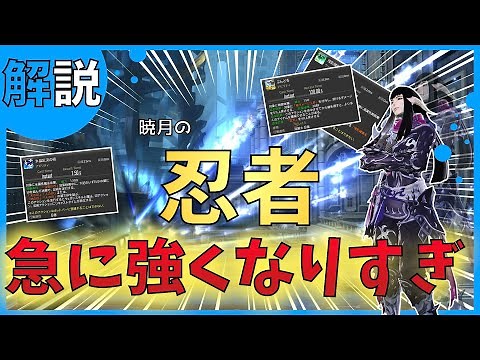 【FF14】忍者が本気を出してからマジで手が付けられない【暁月のフィナーレ】6.1【初心者】 - 解説 -